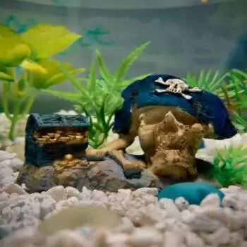 Gravel For Aquarium Calculator