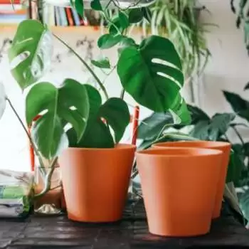 Potting Soil Calculator